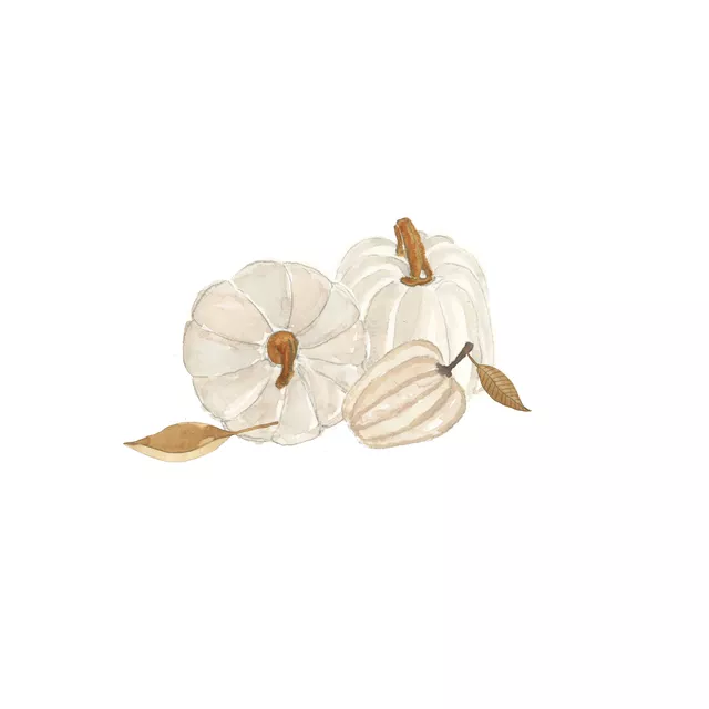 Kissen Weiße Kürbisse