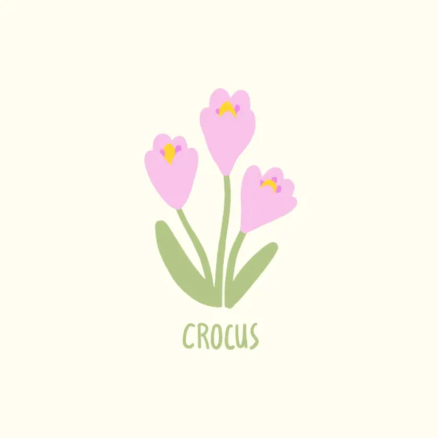 Servietten Crocus