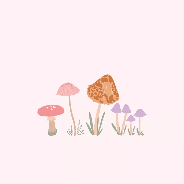 Kissen Bunte Pilze Hellrosa