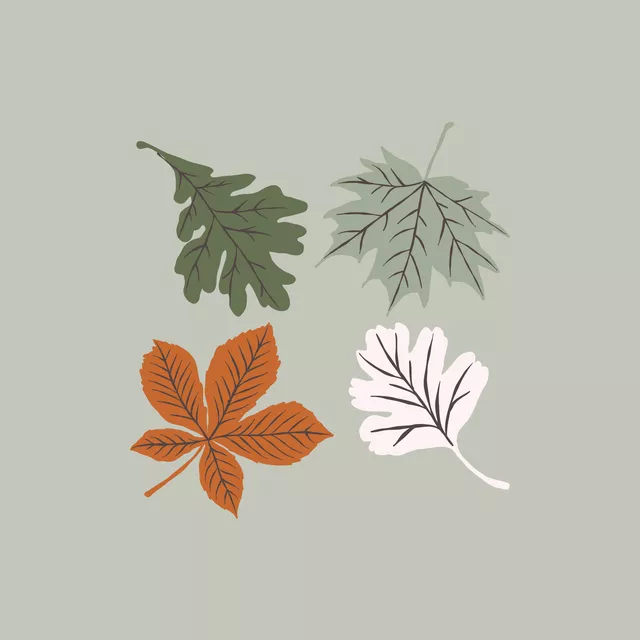 Kissen Herbstblätter Grün Bunt