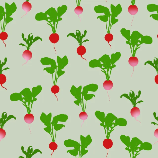 Dekovorhang Radieschenmuster Grün