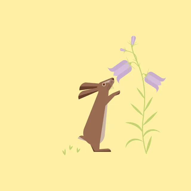 Geschirrtücher Ostern Hase Glockenblume