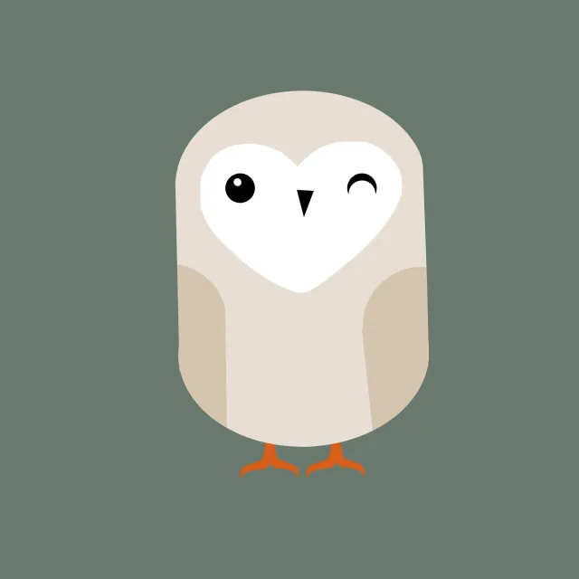 Kissen Schleiereule Grün