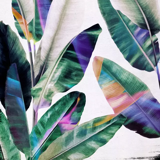 Servietten Tropical 1