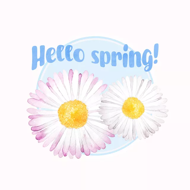 Kissen Hello Spring Daisies