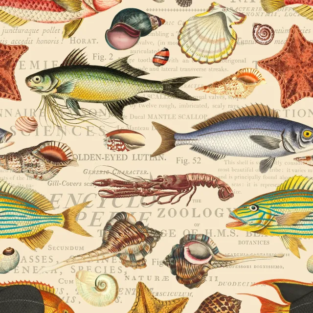 Kissen Vintage Marine Study Beige