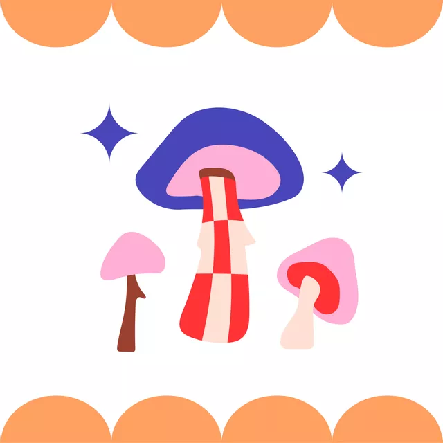 Kissen Mushrooms with Magic