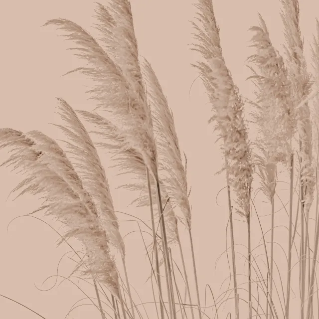 Tischdecke Sanftes Pampasgras Beige Braun