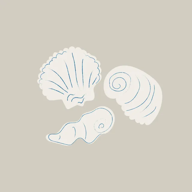 Tischset Summer Seashells