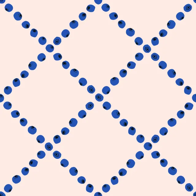 Dekovorhang Blaubeeren Blueberry Diamond