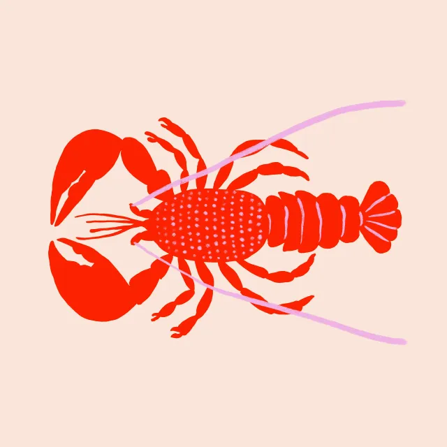 Kissen Summer Lobster