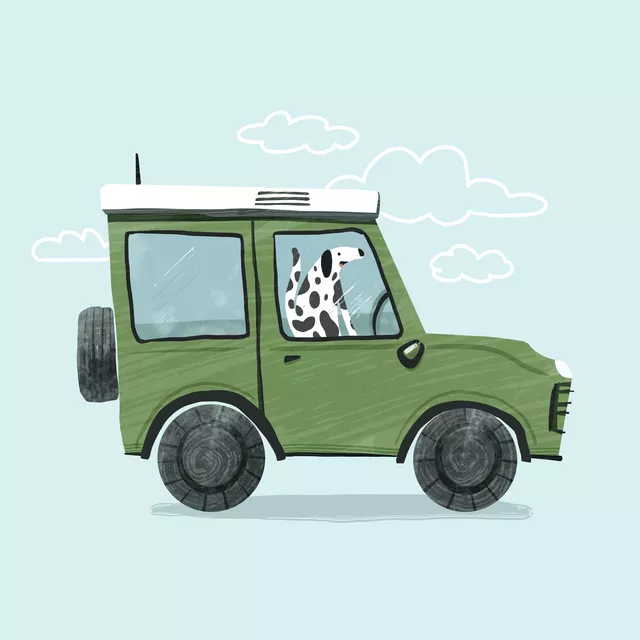 Kissen Hund im Auto blau