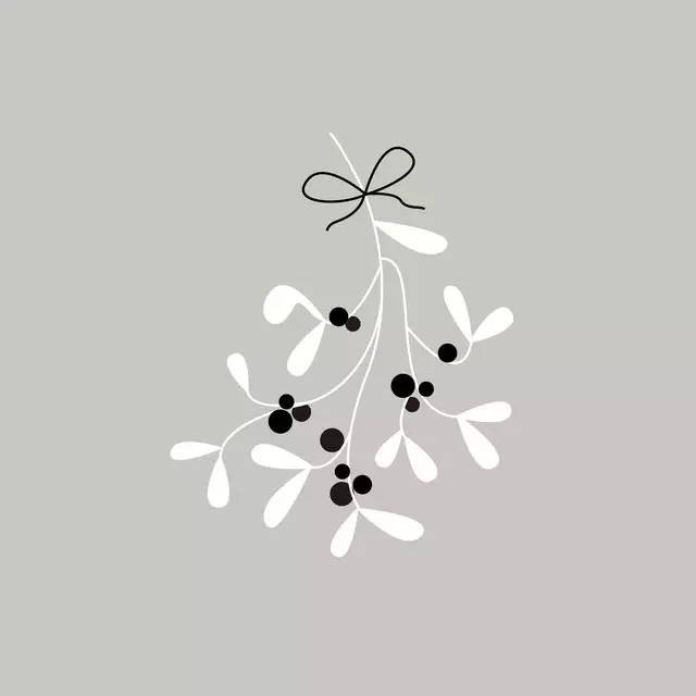 Kissen Christmas Mistletoe grey