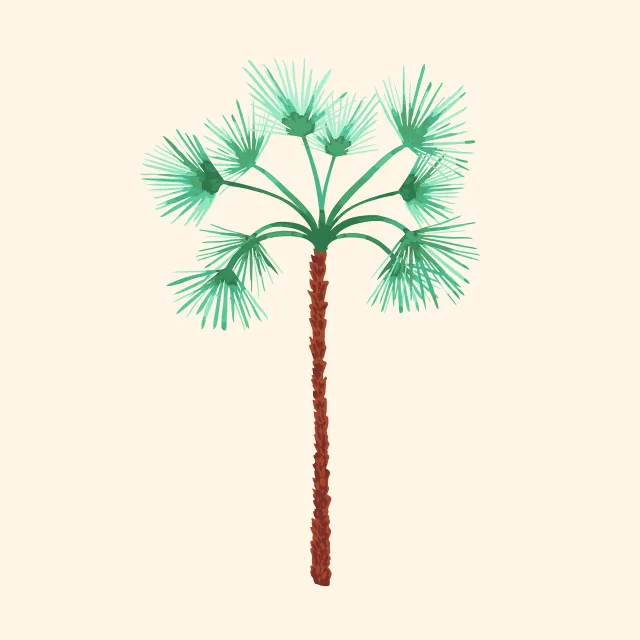 Kissen Tropical Palmtree offwhite