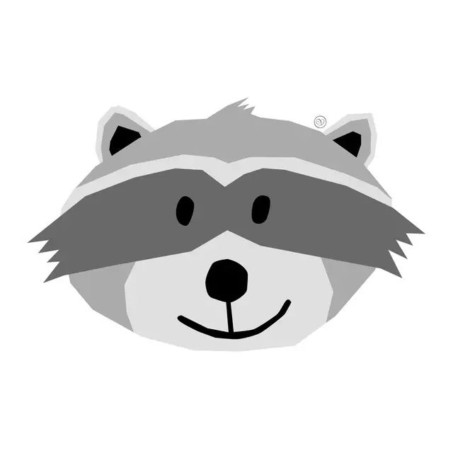 Kissen Willi Waschbär