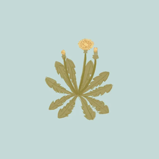 Servietten Landliebe Löwenzahn