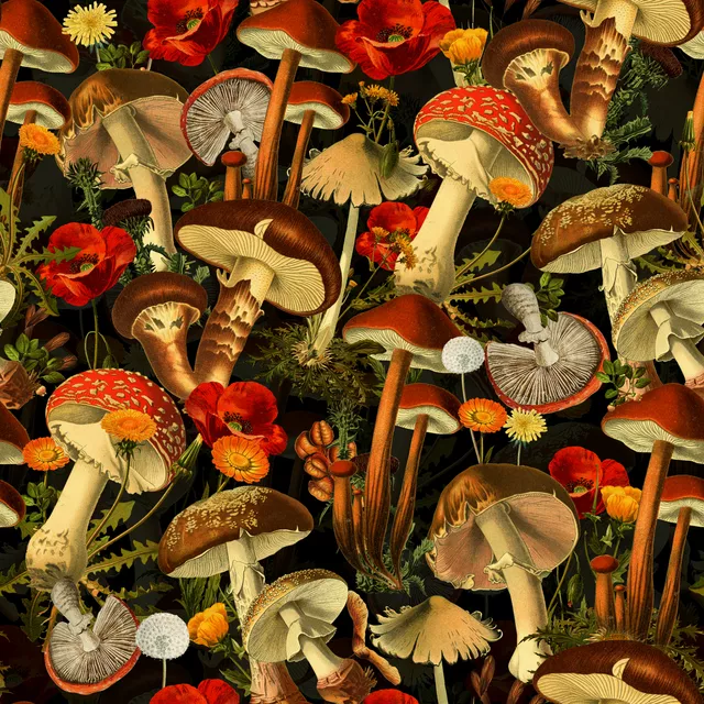 Kissen Mystischer Pilzwald