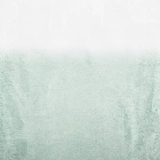 Kissen Eukalyptus verwaschen