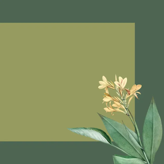 Tischset Tropischer Dschungel grün