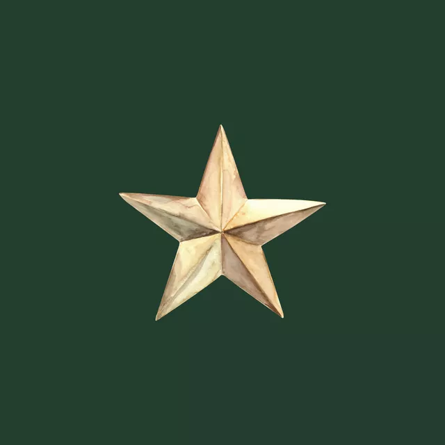 Kissen Goldener Stern tannengrün