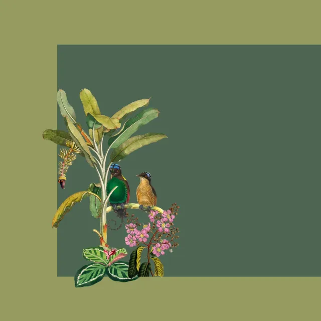 Tischset Exotischer Dschungel grün