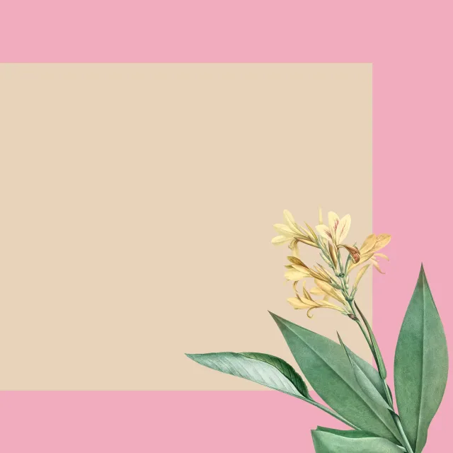 Tischset Tropischer Dschungel pink