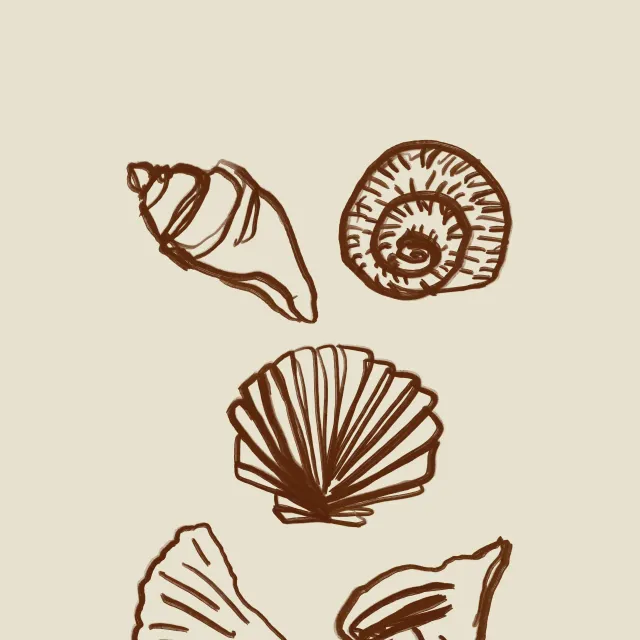 Geschirrtücher Shells Outline Red