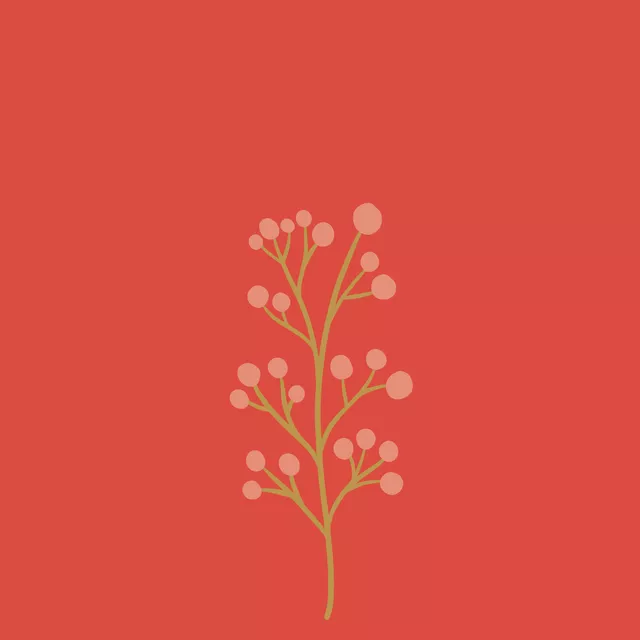 Kissen Winterbeeren