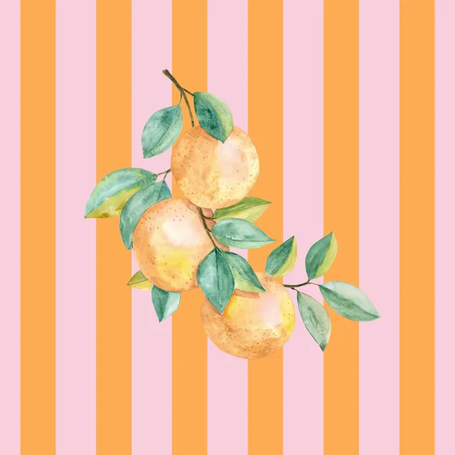 Geschirrtücher Orangen pink orange Streifen