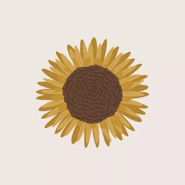 Kissen Sonnenblume
