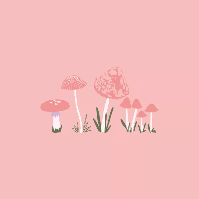 Kissen Bunte Pilze Rosa