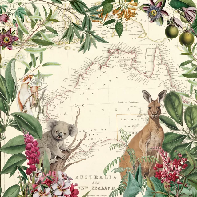 Kissen Australia Adventure