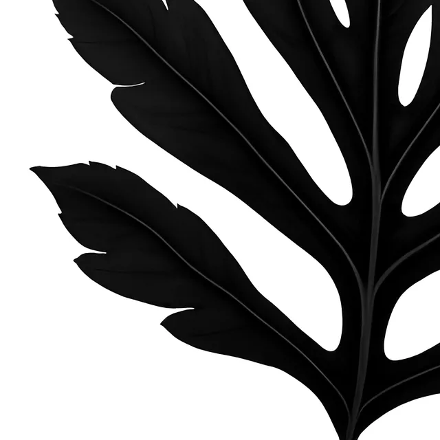 Kissen Feuille Noire