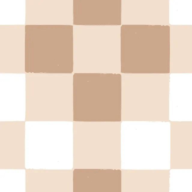 Dekovorhang Brown and White Checks