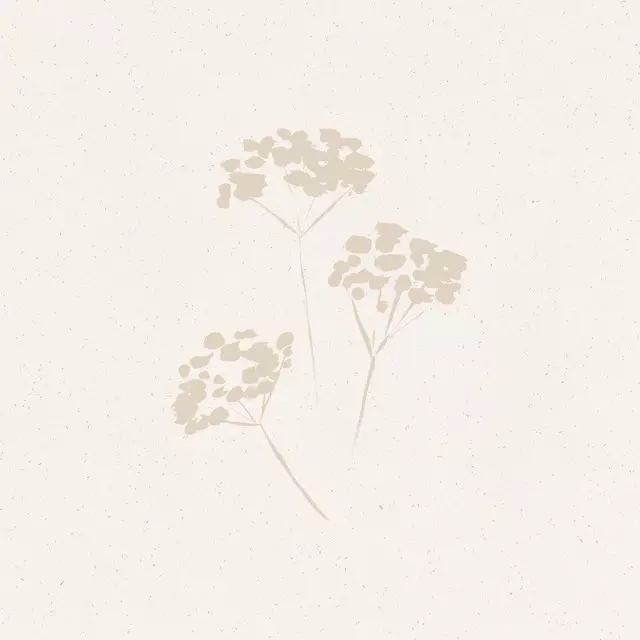 Kissen From the Meadow sand