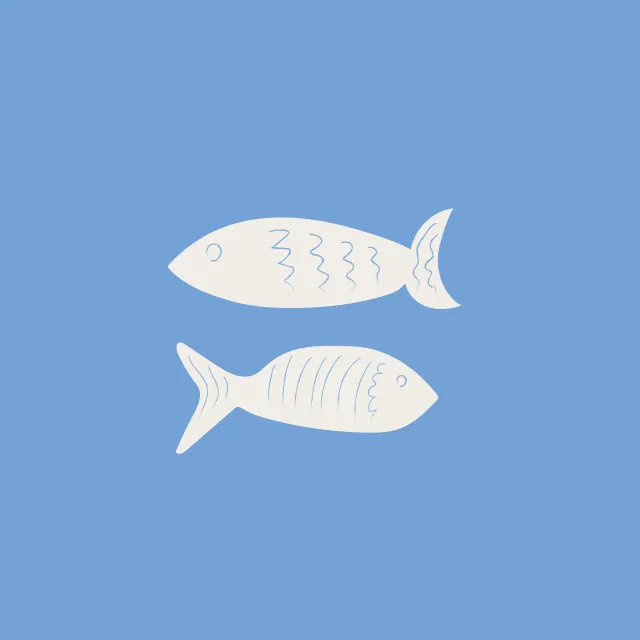 Kissen Summer Fish Light