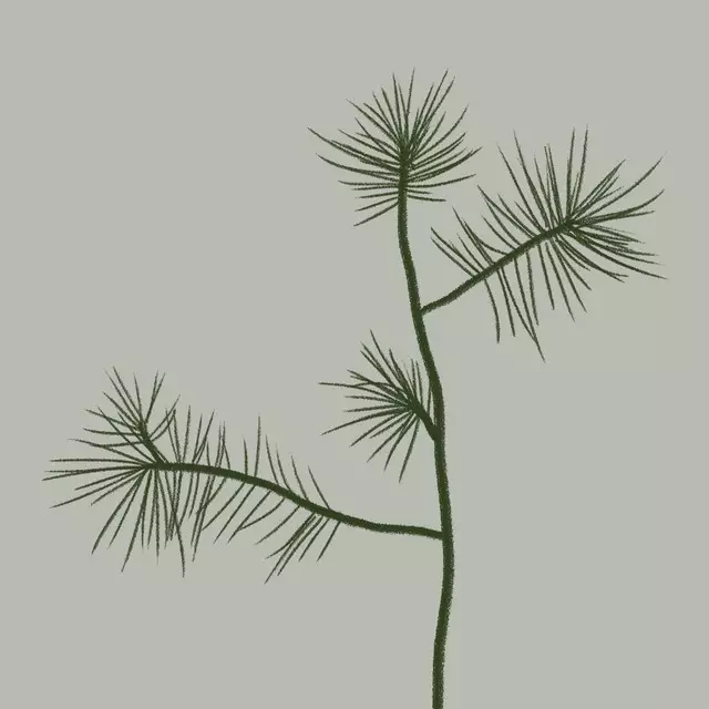 Servietten Feine Pinien 3