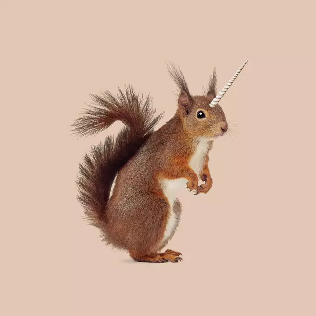 Servietten Einhörnchen