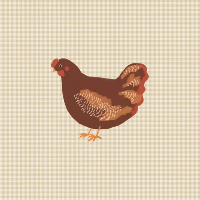 Sitzkissen Landliebe Huhn