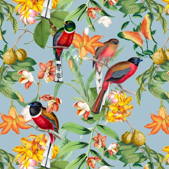 Kissen Bunte tropische Vögel blau