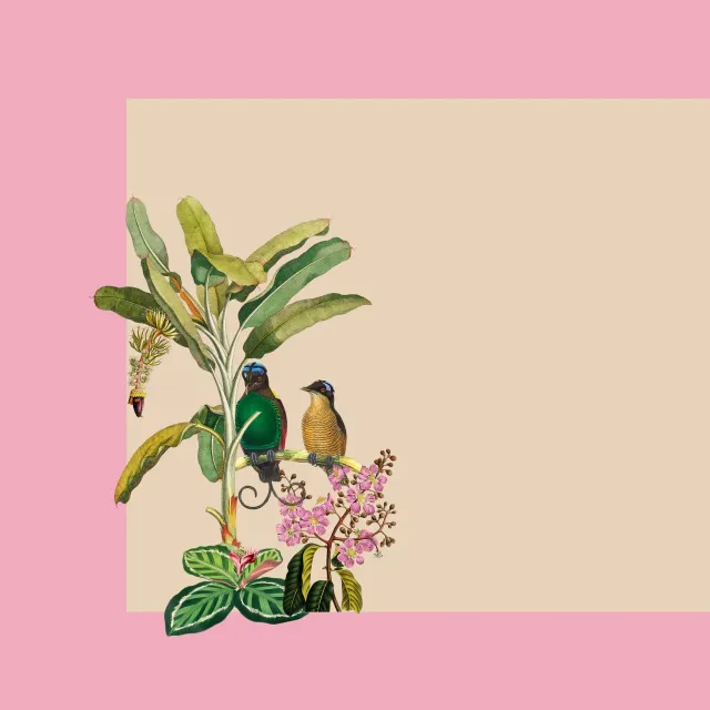 Tischset Exotischer Dschungel pink