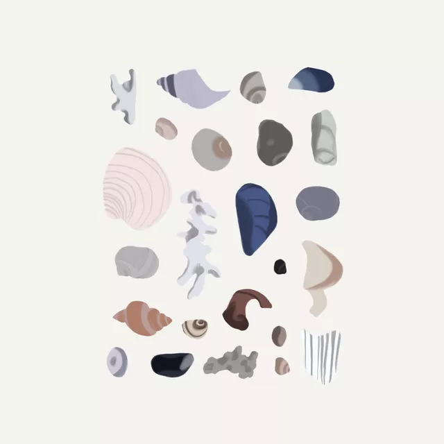 Kissen Muschelsammlung Beige