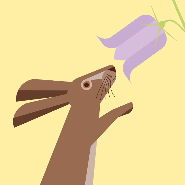 Kissen Ostern Hase Glockenblume