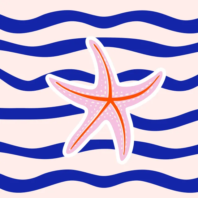 Kissen Coastal summer Seestern