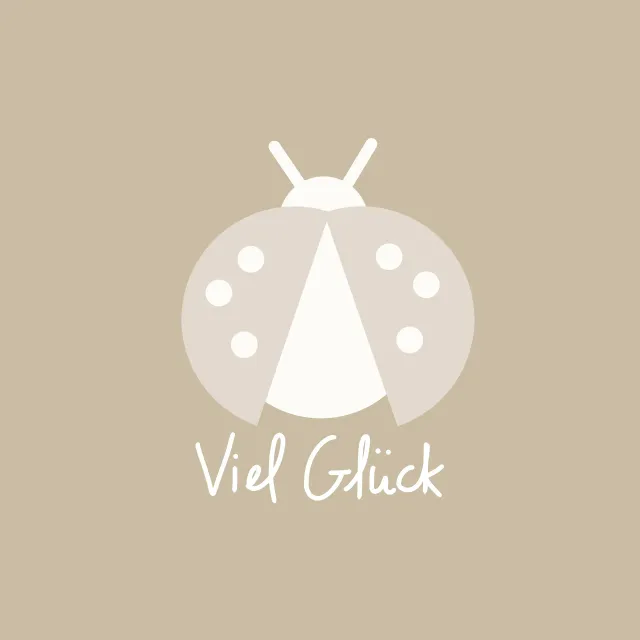 Kissen Viel Glueck Marienkaefer