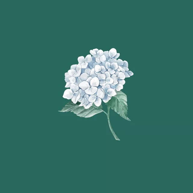 Kissen Hortensie Aquarell grün