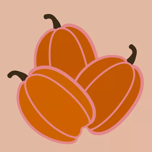 Kissen Drei Kürbisse Orange Pink