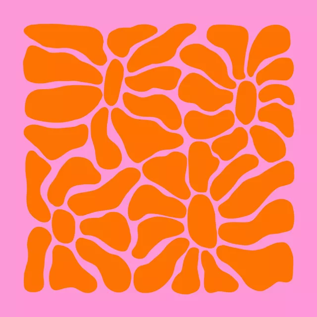 Kissen Bloom 2 Orange Pink