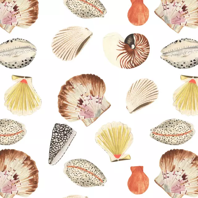 Tischläufer Shells