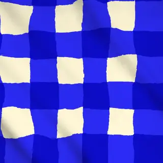 Meterware Italian Blue Gingham Pattern